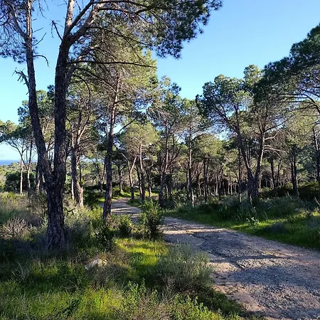 Pinus Village, Pula, Sud Sardegna Vera's House Fort Village